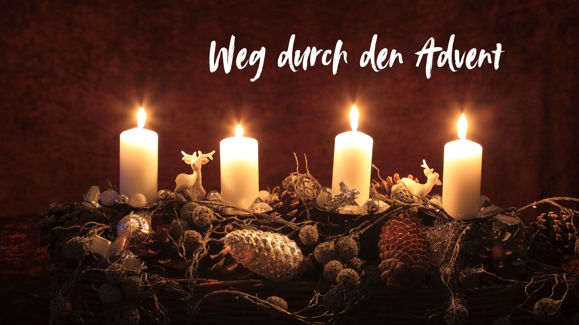 Freunde und Förderer 2025